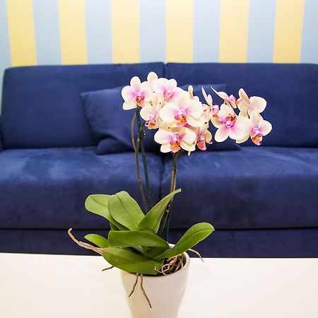Lemon Flats Sorrento Bed & Breakfast Eksteriør bilde